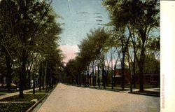 West Genesee St Postcard