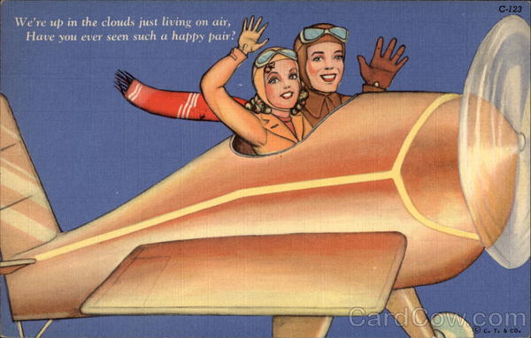 Happy Couple Up in Air in Small Plane Aircraft