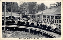 Wild Cat Coaster Wild Cat Coaster