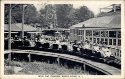 Wild Cat Coaster Rocky Point, RI Postcard Postcard