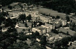 The Magnificent Greenbrier Hotel & Cottages Postcard