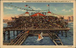 Crowded Stands Witness Horse Dive - Steel Pier Postcard