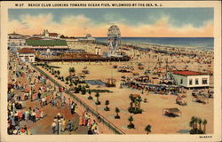 Beach Club Looking Towards Ocean Pier Wildwood-by-the-Sea, NJ Postcard Postcard