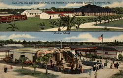 Stock #225206 Thumbnail