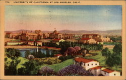 University of California at Los Angeles Postcard