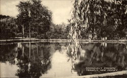 Roosevelt Comon Tenafly, NJ Postcard Postcard