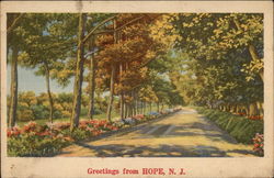 Greetings from Hope, NJ Postcard