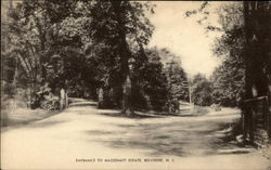 Entrance of Massenatt Estate Belvidere, NJ Postcard Postcard