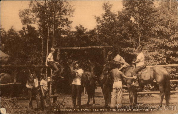 The Horses are Favorites with the Boys at Camp Puh tok Monkton Maryland