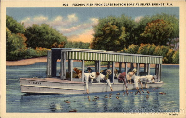 Feeding Fish From Glass Bottom Boat Silver Springs Florida
