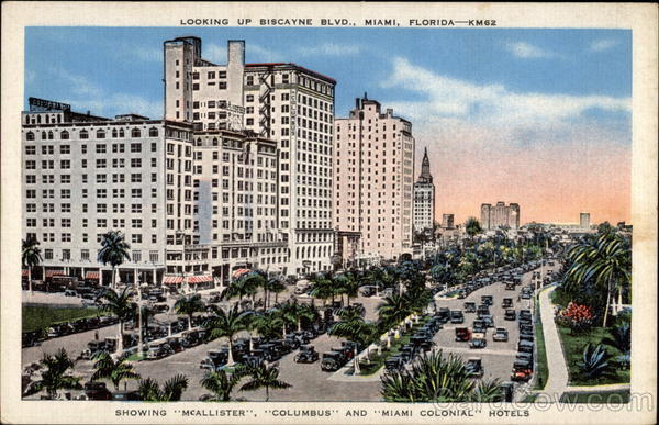 Looking Up Biscayne Blvd Miami Florida