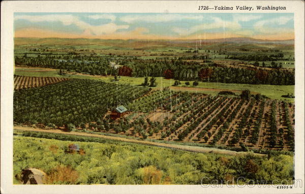 Yakima Valley, Washington