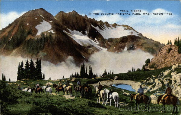 Trail Riders in the Olympic National Park Washington