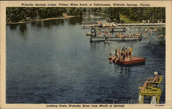 Looking Down Wakulla River from Mouth of Springs Wakulla Springs Florida