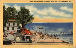 Bathing Beach on Chesapeake Bay Postcard