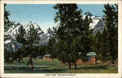 View from "Square G Ranch" Jenny Lake, WY Postcard Postcard