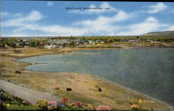 Soap Lake Washington Postcard Postcard