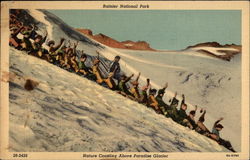 Rainier National Park Nature Coasting Above Paradise Glacier Washington Mount Rainier National Park Postcard Postcard