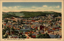 Bird's Eye View of Lead Postcard