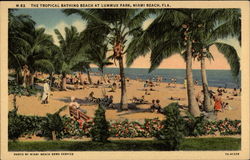 The Tropical Bathing Beach at Lummus Park Postcard