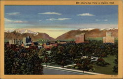 Bird's-Eye View Bird's-Eye View