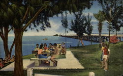 Picnicking and Fishing Along Courtney Campbell Parkway Postcard