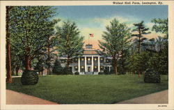 Walnut Hall Farm Lexington, KY Postcard Postcard