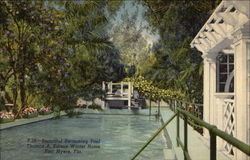 Beautiful Swimming Pool - Thomas A. Edison Winter Home Fort Myers, FL Postcard Postcard