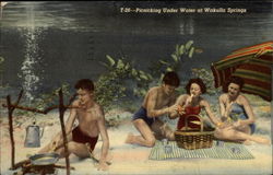 Picnicking Under Water at Wakulla Springs Postcard