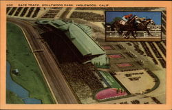 Race Track, Hollywood Park, Inglewood, Calif Postcard