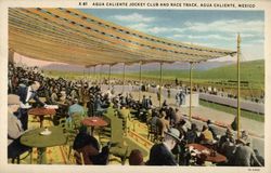 Jockey Club and Race Track Agua Caliente, Mexico Postcard Postcard