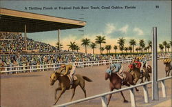 A Thrilling Finish at Tropical Park Race Track A Thrilling Finish at Tropical Park Race Track