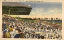 Huge Crowds Enjoy Winter Racing at Hialeah Park Miami, FL Postcard Postcard