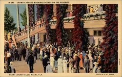 Crowd Cashing Winning Tickets on the Favorite, Miami Jockey Club Florida Postcard Postcard