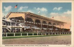 Grand Stand, Showing Crowds, Pimlico Race Track Postcard