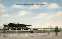 Mile High Kenel Club Track Denver, CO Postcard Postcard