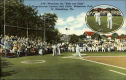 Watching the "Kids and Cubs" Postcard