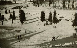 Winter Sports Postcard