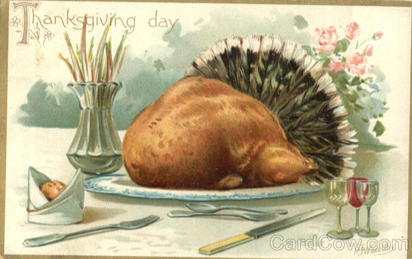 Thanksgiving Day Turkeys