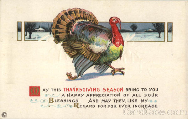 Happy Thanksgiving Turkeys