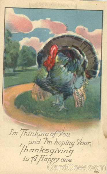 Thinking of You on Thanksgiving Turkeys