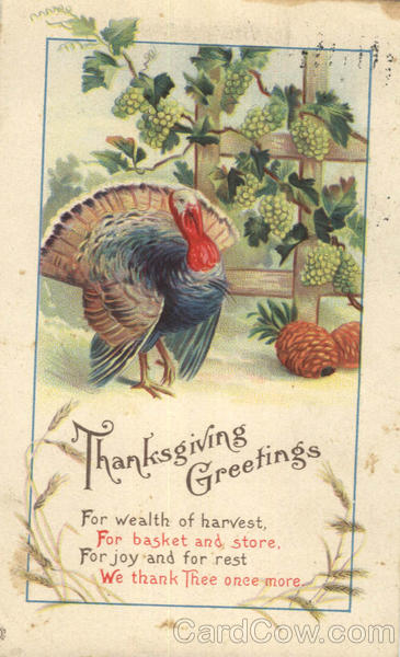 Thanksgiving Greetings Turkeys