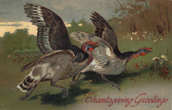 Thanksgiving Greetings Turkeys