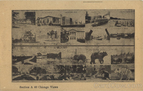 Chicago Views Illinois