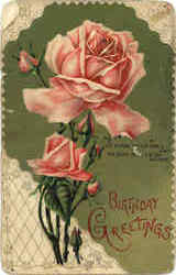 Birthday Greetings Postcard