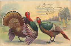 A Thanksgiving Wish Turkeys Postcard Postcard