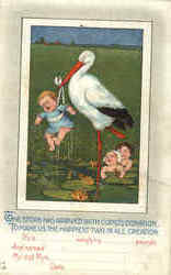The Stork has Arrived Postcard