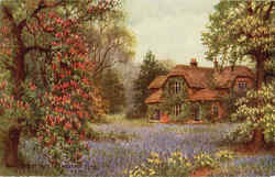 Stock #20499 Thumbnail