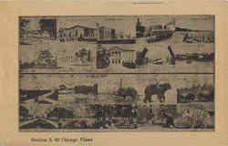 Chicago Views Postcard
