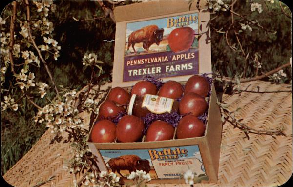Trexler Apples - The Acceptable Gift at All Seasons of the Year